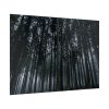 92409-442.jpg Cold Forests Trees Poster