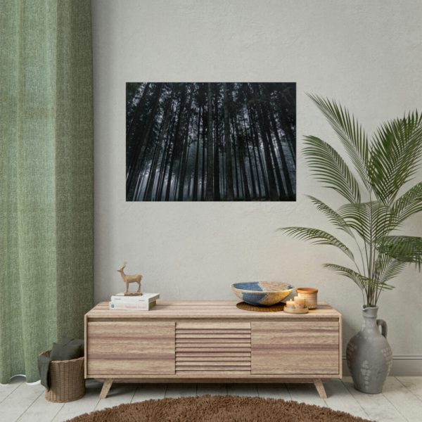 92409-443.jpg Cold Forests Trees Poster