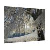 92409-447.jpg Tree Hoarfrost Poster