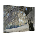 Tree Hoarfrost Poster - Image 8