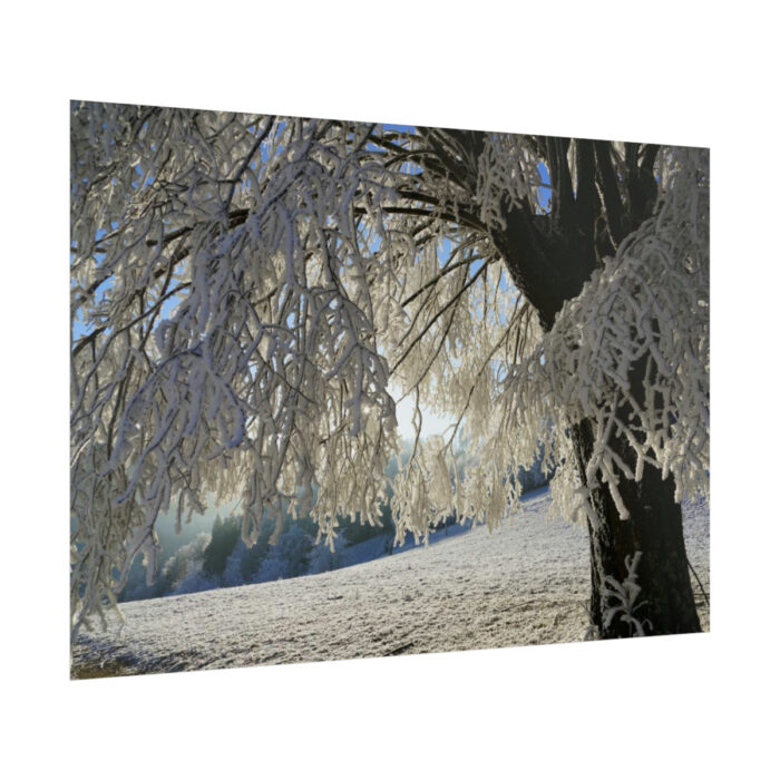 Tree Hoarfrost Poster - Image 8