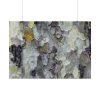92409-531.jpg Tree Bark Texture Poster