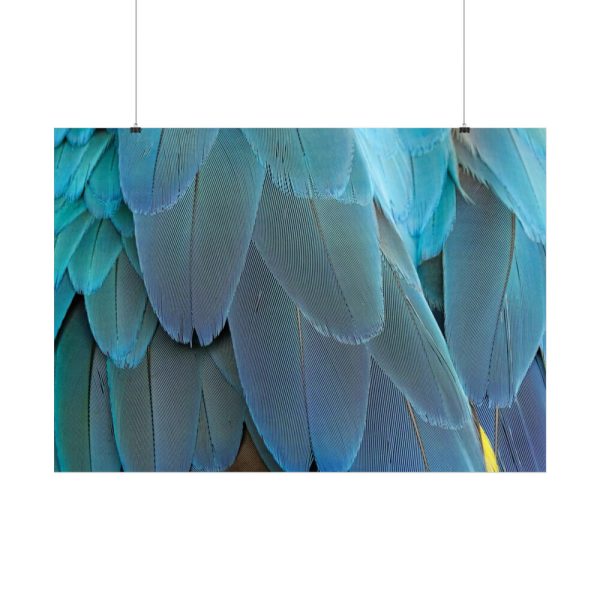 92409-541.jpg Parrot Feathers Texture Poster