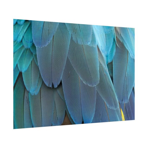 92409-542.jpg Parrot Feathers Texture Poster