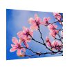 92409-602.jpg Spring Tree Poster