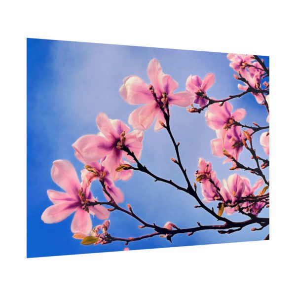92409-602.jpg Spring Tree Poster