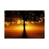 92409-605.jpg Sunrise Tree Silhouette Nature Poster