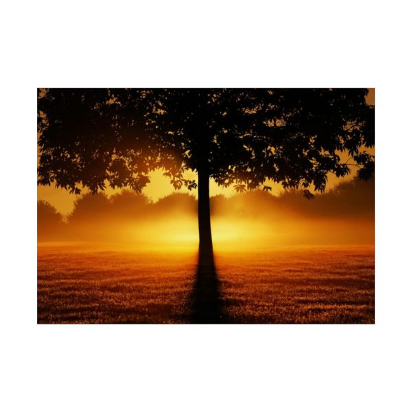 92409-605.jpg Sunrise Tree Silhouette Nature Poster