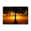 92409-606.jpg Sunrise Tree Silhouette Nature Poster
