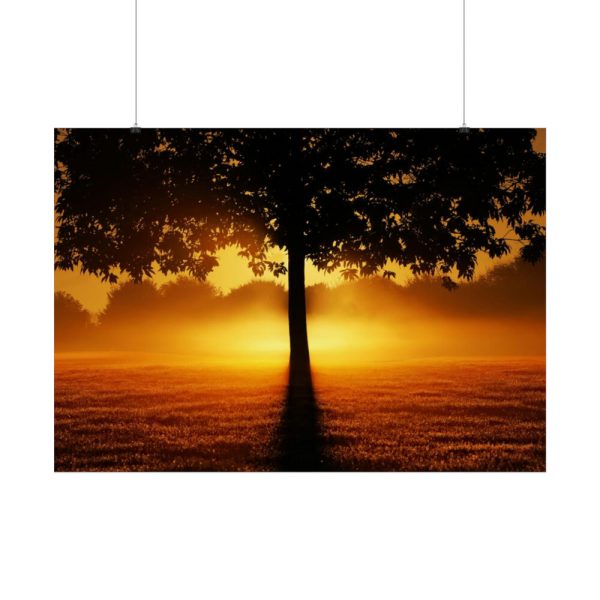 92409-606.jpg Sunrise Tree Silhouette Nature Poster