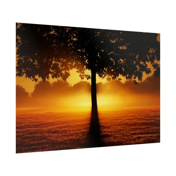92409-607.jpg Sunrise Tree Silhouette Nature Poster