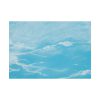 92409-615.jpg Seagull and Waves by Winslow Homer Poster