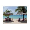 Sunny Beach With Palm Tree Poster