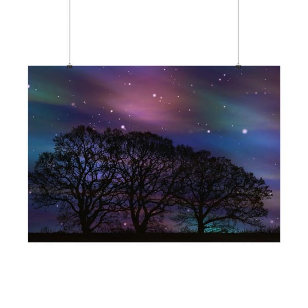 92409-711.jpg Tree Forest Starry Aurora Poster