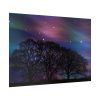 92409-712.jpg Tree Forest Starry Aurora Poster
