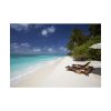 Tropical Beach, Trees, Shoreline in Summer Poster