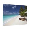 Tropical Beach, Trees, Shoreline in Summer Poster
