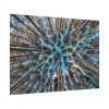 92409-832.jpg Trees Upward Poster