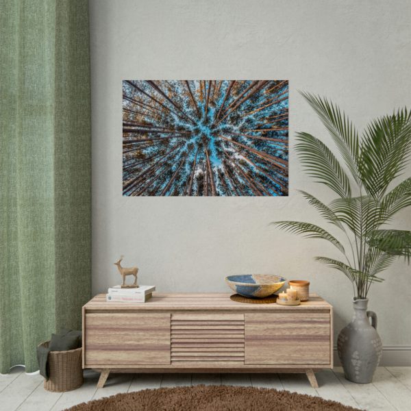 92409-833.jpg Trees Upward Poster