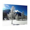 92409-872.jpg Blue Sky Cold Daylight Fosty Trees Poster