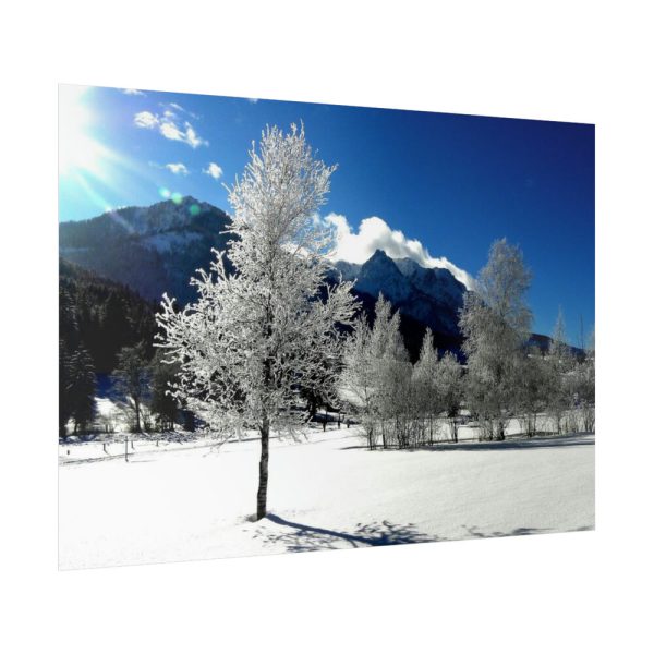 92409-872.jpg Blue Sky Cold Daylight Fosty Trees Poster