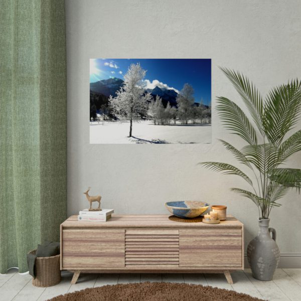 92409-873.jpg Blue Sky Cold Daylight Fosty Trees Poster