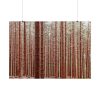 Forest Trees in Autumn Poster