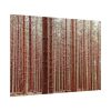 Forest Trees in Autumn Poster