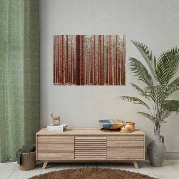 Forest Trees in Autumn Poster