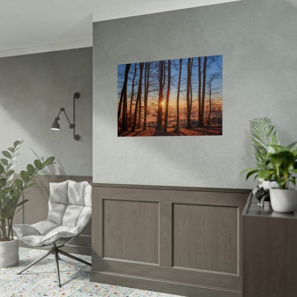 92409-894.jpg Sun and Trees Poster