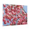 92409-907.jpg Japanese Cherry Tree Poster