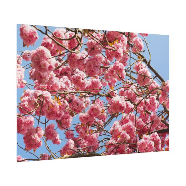 92409-907.jpg Japanese Cherry Tree Poster