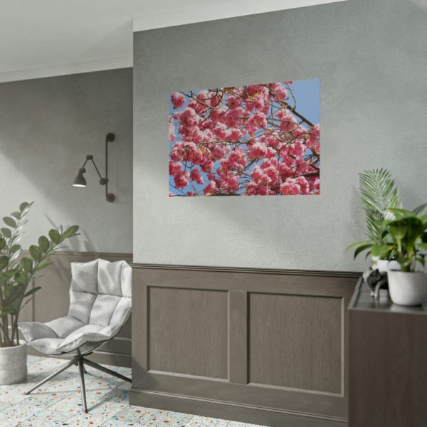 92409-909.jpg Japanese Cherry Tree Poster