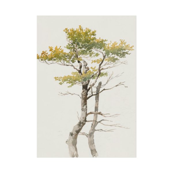 92410-140.jpg Study of Deciduous Tree by Friedrich von Scheidlin Poster
