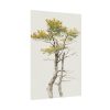 92410-142.jpg Study of Deciduous Tree by Friedrich von Scheidlin Poster