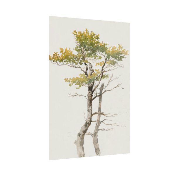 92410-142.jpg Study of Deciduous Tree by Friedrich von Scheidlin Poster