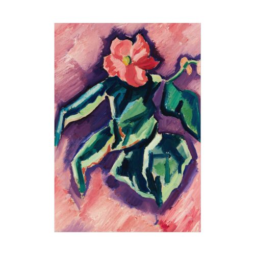 Pink Begonias By Marsden Hartley Poster