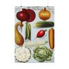 92410-351.jpg Rawson's Vegetable and Flower Seeds Poster