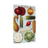 92410-352.jpg Rawson's Vegetable and Flower Seeds Poster