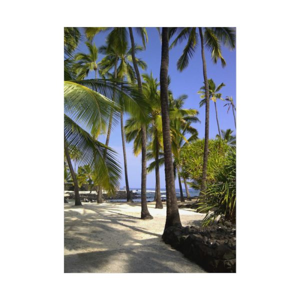 Hawaii City Refuge Hawaiian Poster