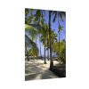 Hawaii City Refuge Hawaiian Poster