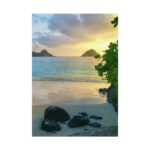 Island Paradise Hawaii Tropical Poster