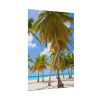 92410-432.jpg Palm Trees On The Beach Poster