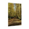 92410-457.jpg Yellow Fallen Leaves From Trees Poster