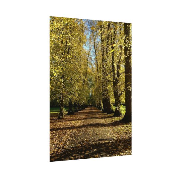92410-457.jpg Yellow Fallen Leaves From Trees Poster
