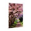 Blossoms Cherry Poster