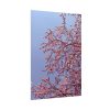 Pink Tree Blossom Poster