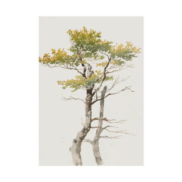 92411-140.jpg Study of Deciduous Tree by Friedrich von Scheidlin Poster