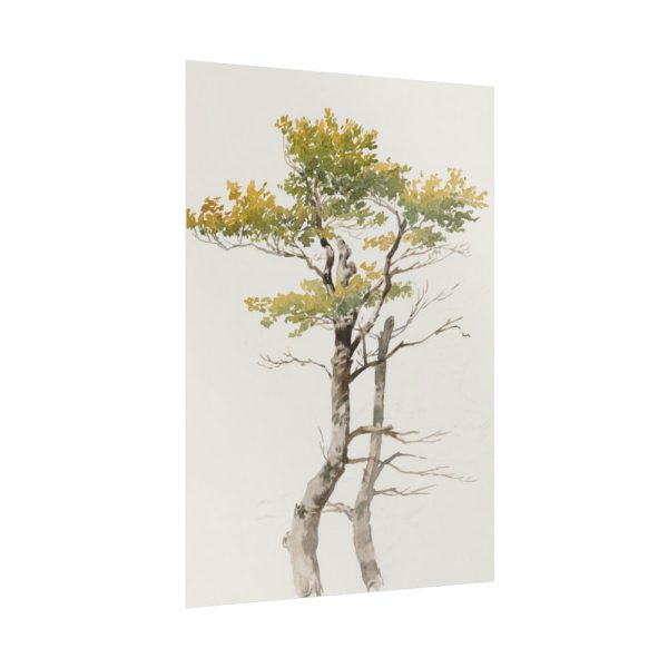 92411-142.jpg Study of Deciduous Tree by Friedrich von Scheidlin Poster