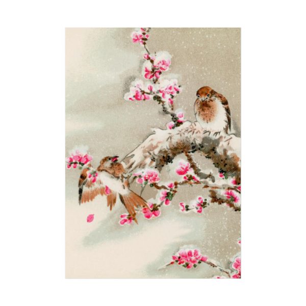 92411-145.jpg Bird Perching on Tree Top Poster